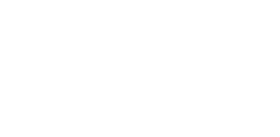 MS-BWIA